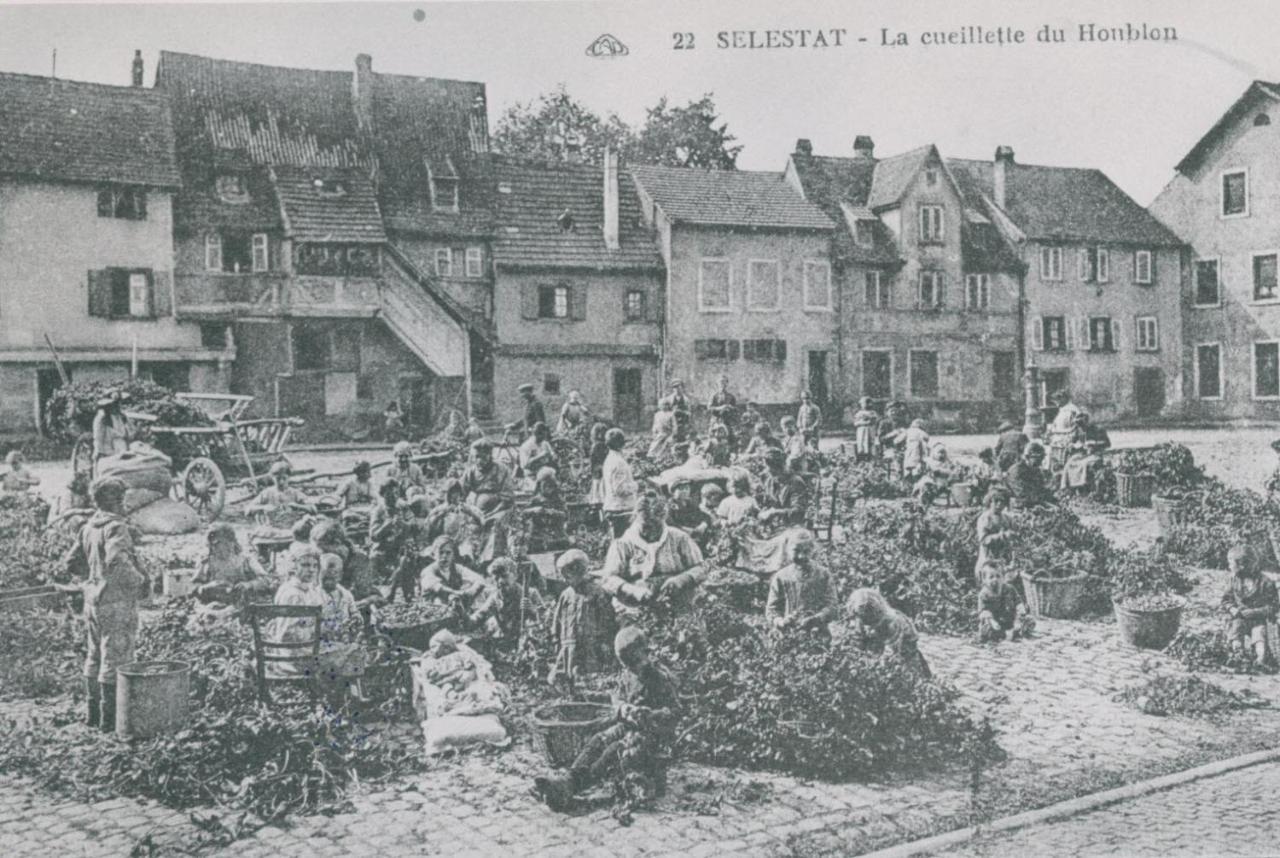 Au Bon Vieux Port Maison De Vacances Alsacienne A 10Mn De Ribeauville, Riquewihr Et Kaysersberg Selestat Bagian luar foto