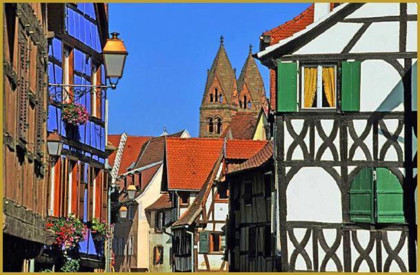 Au Bon Vieux Port Maison De Vacances Alsacienne A 10Mn De Ribeauville, Riquewihr Et Kaysersberg Selestat Bagian luar foto